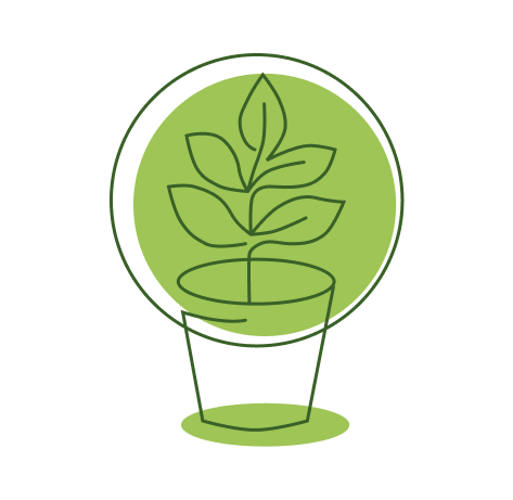 succuhub logo